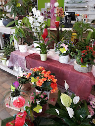 Photo n°1 de La Vie En Fleurs à Arthez-de-Béarn (Magasin de décorations de Noël)