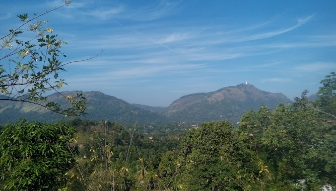 Dartry Tea Factory, Author: Bhathiya Jayasundara