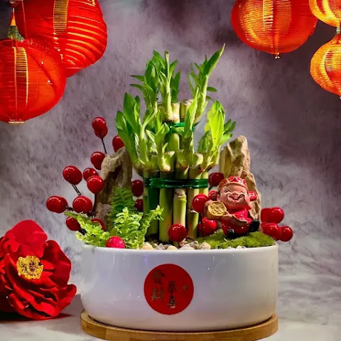 The Green Capsule by null