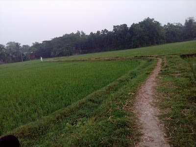 Photos of Debidwar Khadya Gudam