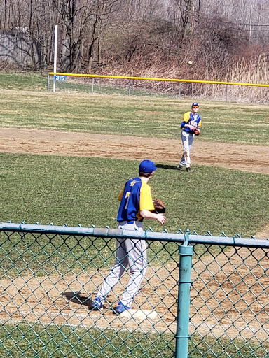 Logan Field - Visual