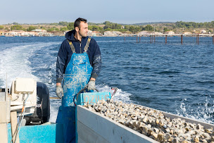 Photo n°9 de La Ferme Marine des Aresquiers à Vic-la-Gardiole (Élevage de fruits de mer)