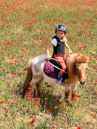 Photo n°29 de Centre équestre et poney club du lys à Montaren-et-Saint-Médiers (Centre équestre)