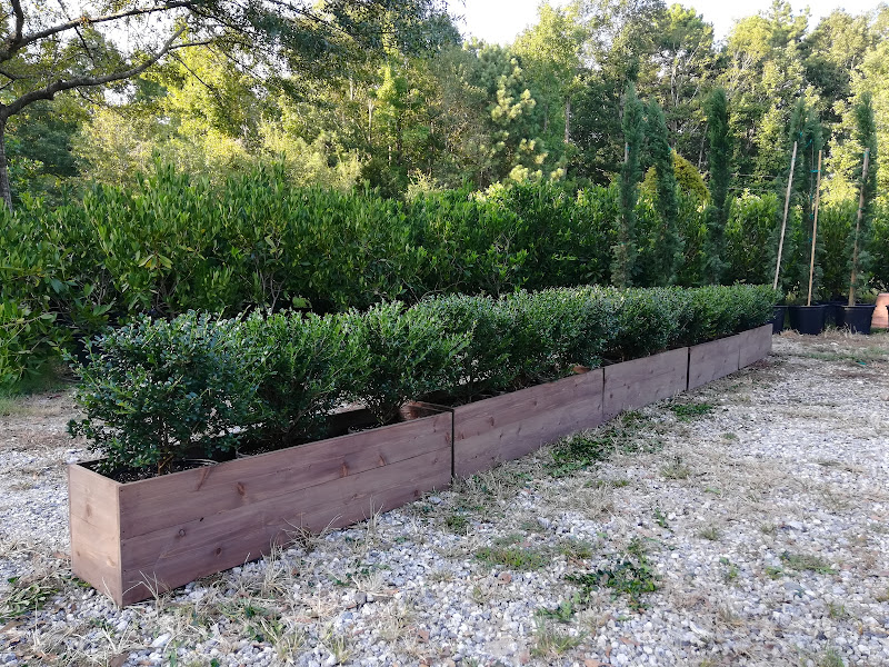 GoHedge Plant Rental & Pruning photo