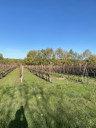 Photo n°16 de Les Granges Lestang à Eymet (Hébergement)