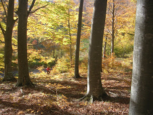 Photo n°4 de Gite Capelanio à Rabouillet (Agence de location de maisons de vacances)