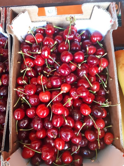 Photos of &Scaron;ilainių Market, Dalminta