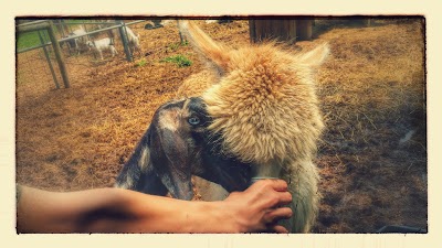 North Georgia Wildlife Park