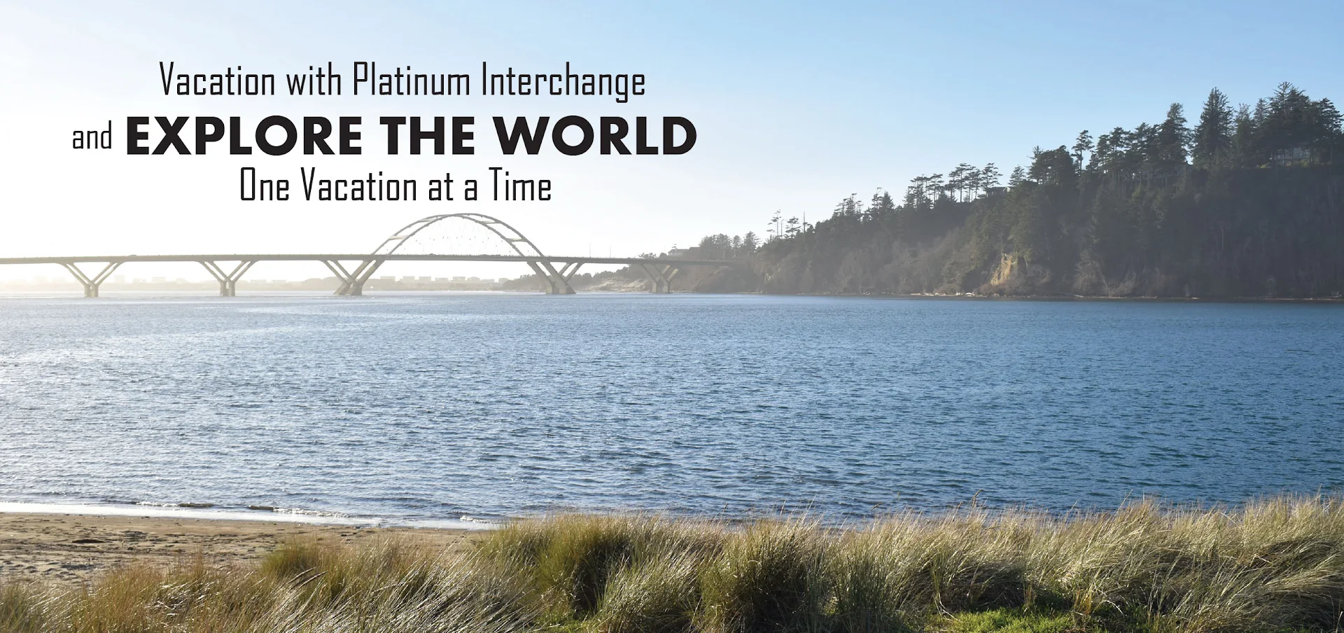 Platinum Interchange