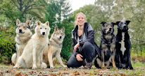 Loup'Stic éducation canine à Dingé