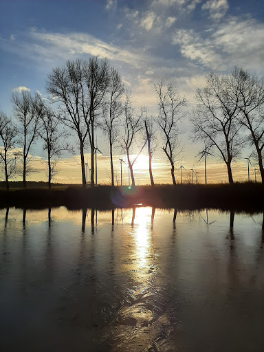 Uebigauer Baggerteich - Visual