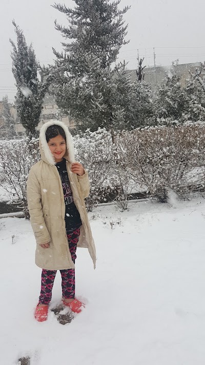 Photos of باخچە
