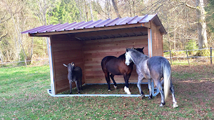 Photo n°14 de LCI CHEVAL à La Guerche-de-Bretagne (Constructeur d'abris de jardin)