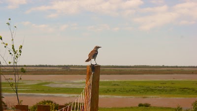 Photos of Riverview