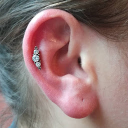 Photo n°39 de Modern Primitive à Vannes (Salon de piercing)