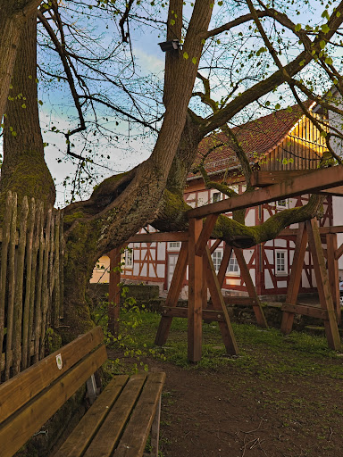 Schenklengsfelder Dorflinde - Thumbnail