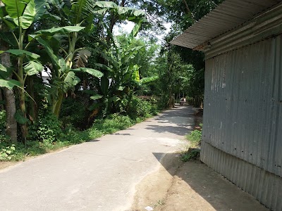 Photos of Sreenodi