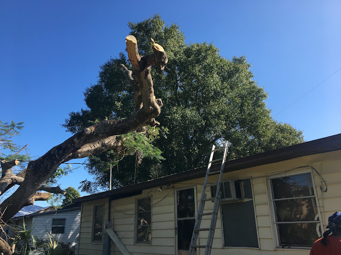 KAAHAYATLE TREE SERVICES