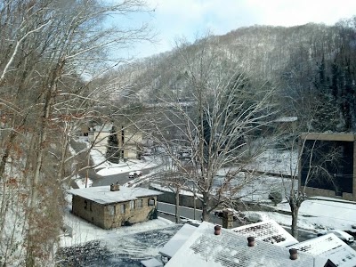 university