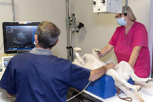 Photo n°45 de Clinique vétérinaire CVET de Ponthierry - sur rdv à Saint-Fargeau-Ponthierry (Vétérinaire)