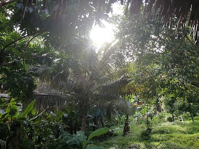 Photos of Antafondro Lodge