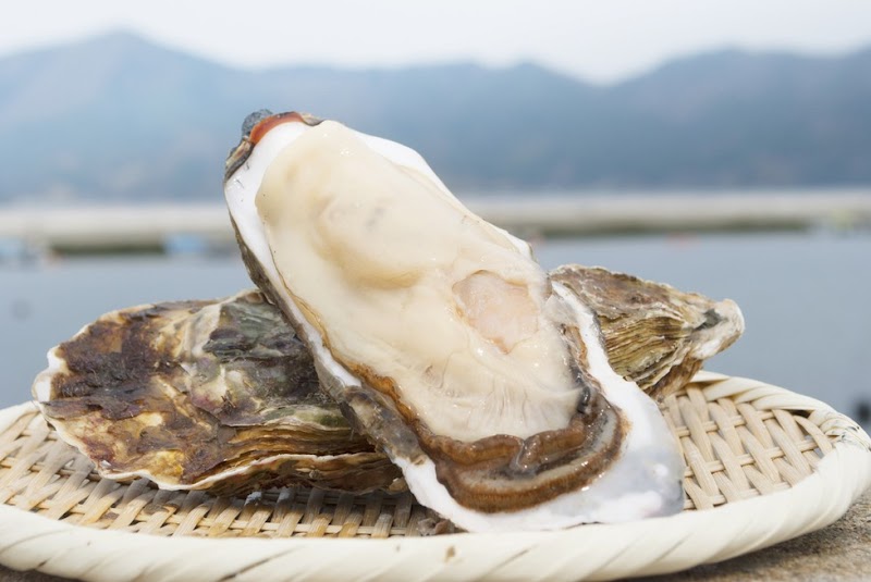 四十八漁場 川崎店