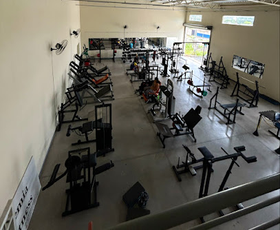 Academia playfitness