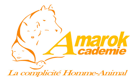 Amarok-Académie - Thumbnail