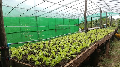 Photos of Bamboo Restaurant and Guesthouse