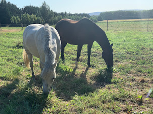 Photo n°14 de Les écuries de la plaine à Clansayes (Centre équestre)