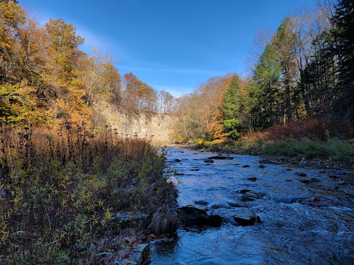 Eighteenmile Creek Conservation Park - Thumbnail