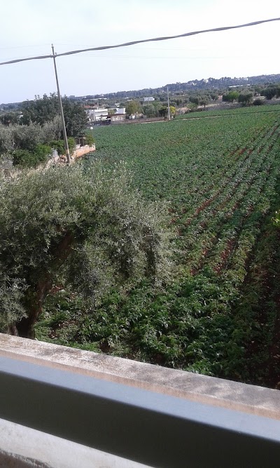 Photos of Hotel l'Abbate