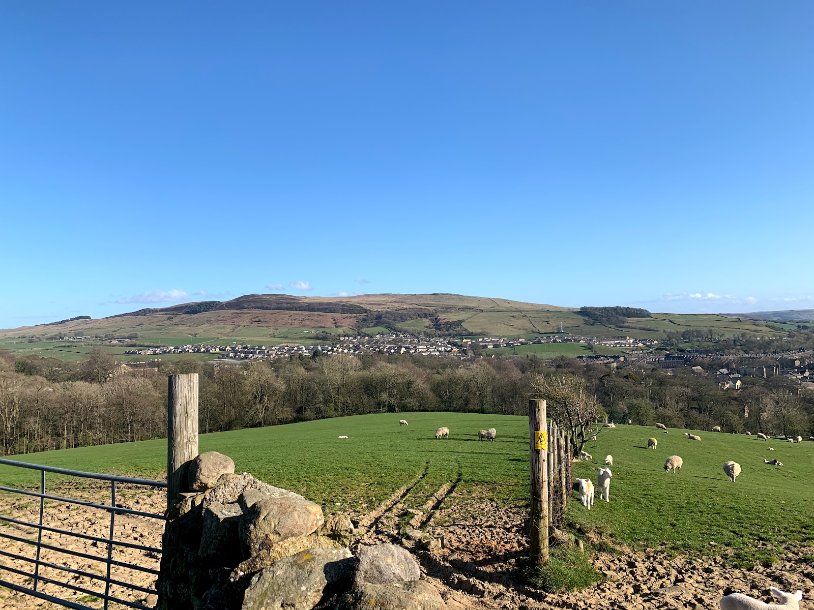 The Royal Shepherd Inn — photo 4