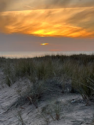 Photo n°30 de CAMPING LA PINEDE à L'Aiguillon-la-Presqu'île (Terrain de camping)