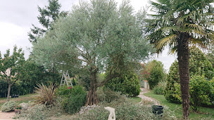 Photo n°4 de GK-services à Talmont-Saint-Hilaire (Jardin)