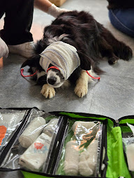 Photo n°4 de Préavies à Bouvesse-Quirieu (Formation aux premiers secours)