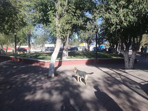 Plaza Ejido Benito Juarez - Thumbnail