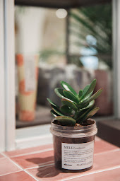 Photo n°27 de LE VESTIBULE Coiffure à Soorts-Hossegor (Barbier)