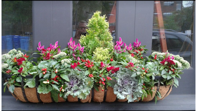 Seasonal Planters John Mazzone