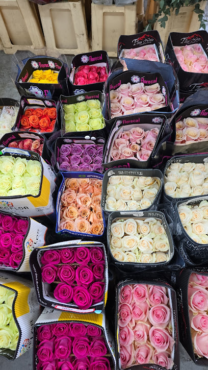 Floraria Green Flower Constanta