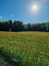 Photo n°9 de Camping La Bruyère à Saint-Jean-de-Couz (Terrain de camping)