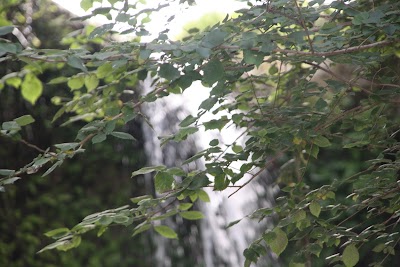 Photos of UJEVARA E HINKES