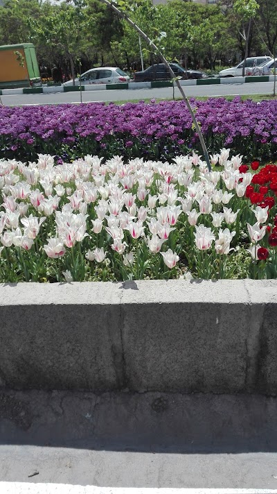 Photos of Niloofar Park