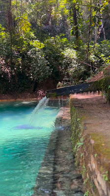 Foto 2 de Maxtour_maceioalagoas Taxi Turismo e Receptivo em Alagoas