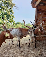 La petite ferme de Bissergues à La Fouillade