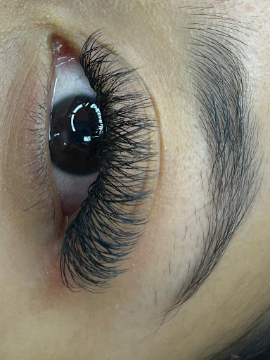 Hannia Lashes