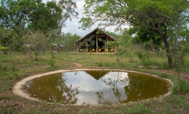 Tree Tops Jungle Lodge by null