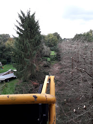 Photo n°18 de Vert Expert à Rives-du-Loir-en-Anjou (Service d'élagage)