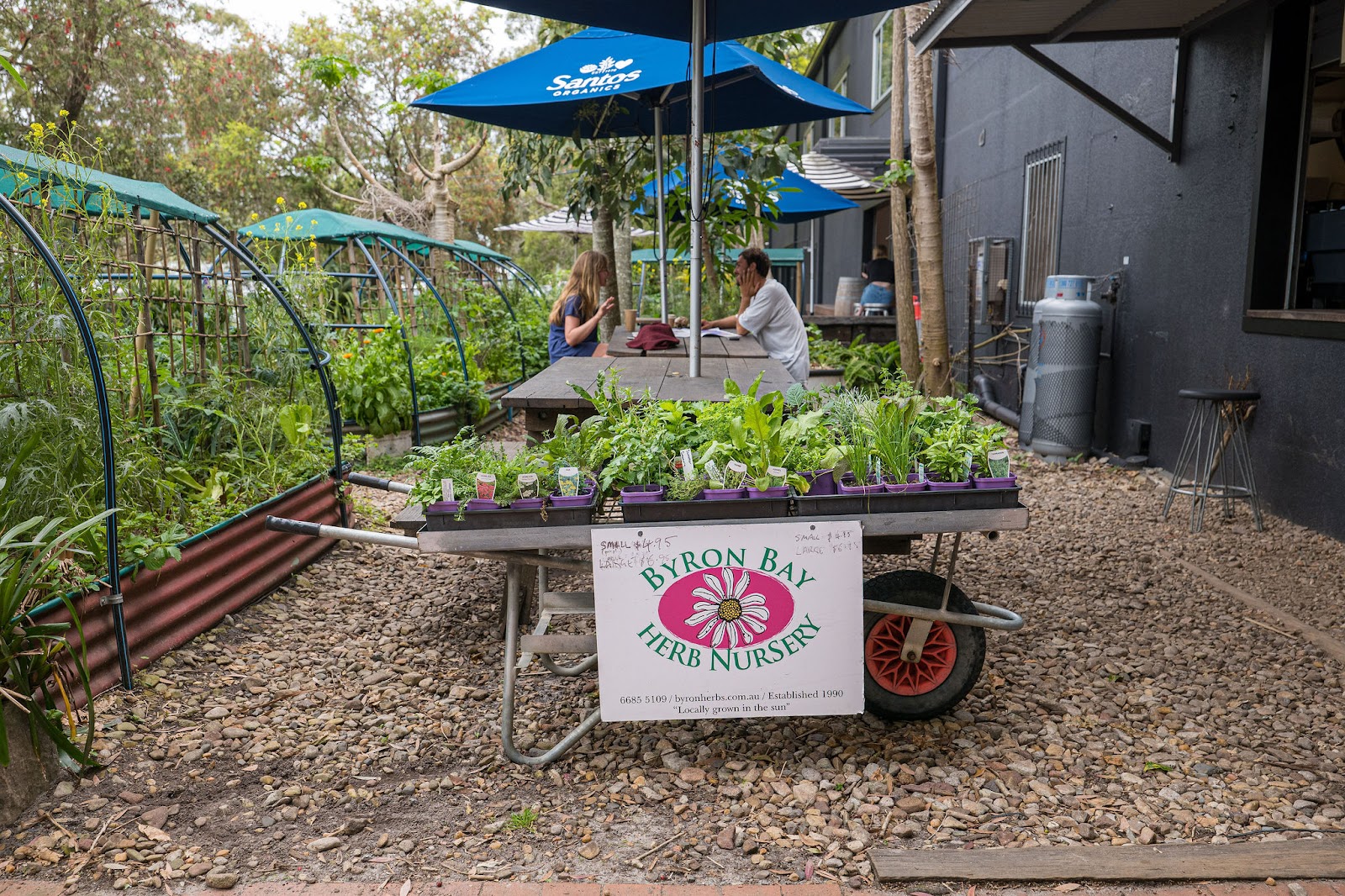 Santos Organics — photo 3