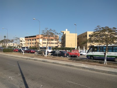 Photos of The Egyptian Language School